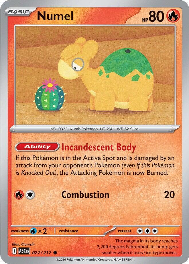 Numel (027/217) [Mega Evolution: Ascended Heroes] | Devastation Store