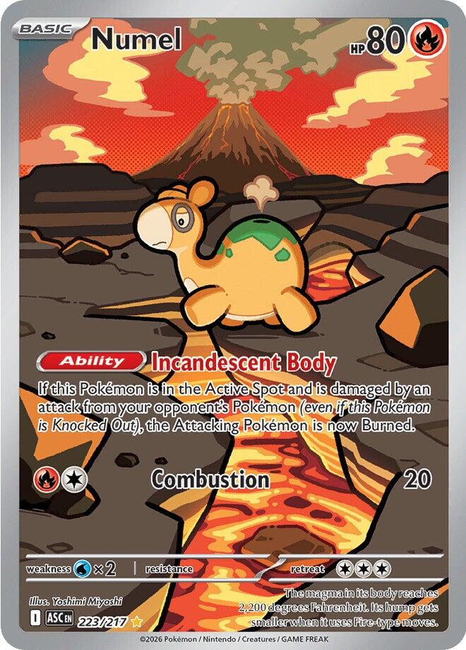 Numel (223/217) [Mega Evolution: Ascended Heroes] | Devastation Store