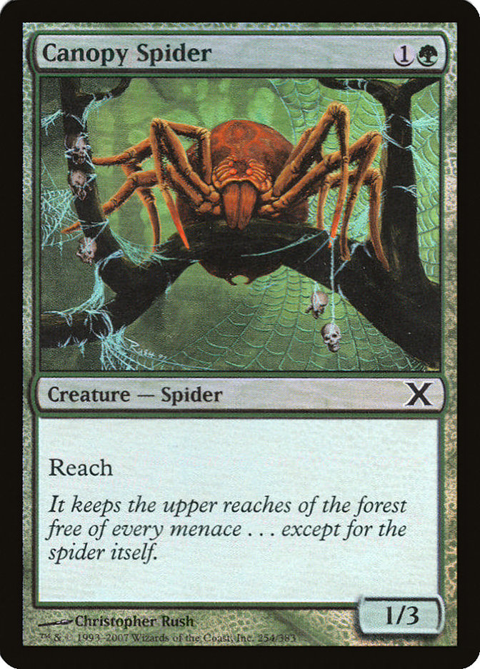 Canopy Spider (Premium Foil) [Tenth Edition] | Devastation Store