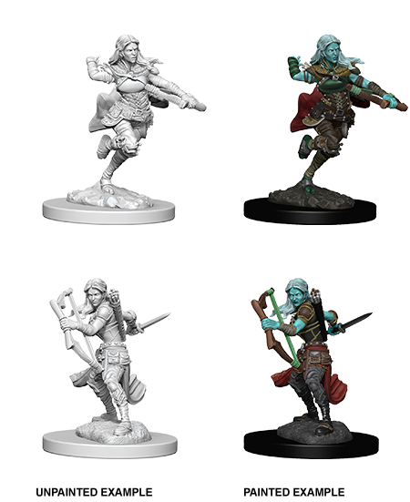 D&D Nolzur's Marvelous Miniatures: Air Genasi Rogue - Devastation Store | Devastation Store