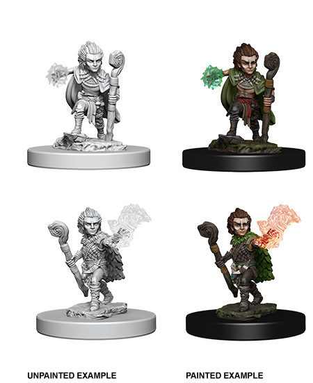 Pathfinder Battles Deep Cuts: Gnome Male Druid - Devastation Store | Devastation Store