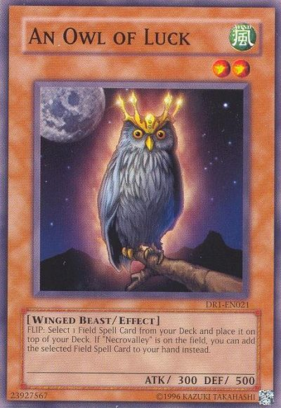 An Owl of Luck [DR1-EN021] Common | Devastation Store
