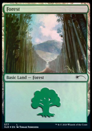 Forest (Walls) (577) [Secret Lair Drop Promos] | Devastation Store