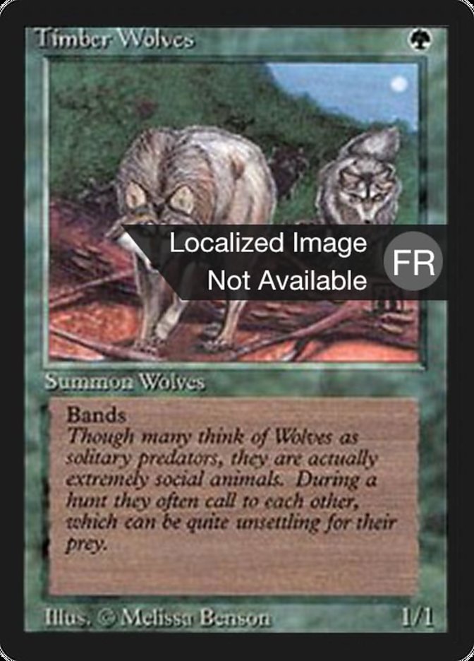 Timber Wolves [Foreign Black Border] | Devastation Store