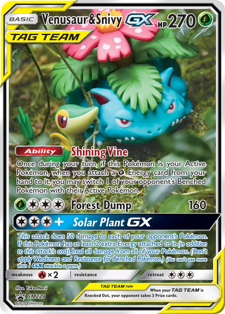 Venusaur & Snivy GX (SM229) [Sun & Moon: Black Star Promos] | Devastation Store