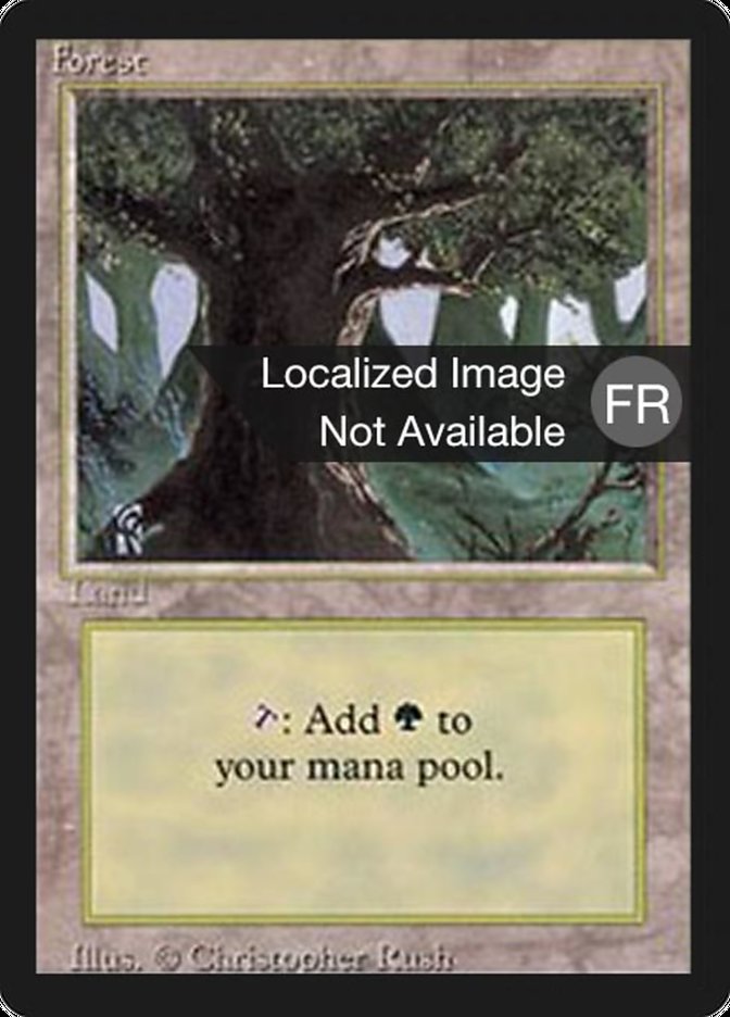 Forest (A) [Foreign Black Border] | Devastation Store