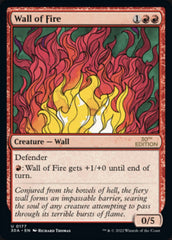 Wall of Fire [30th Anniversary Edition] | Devastation Store