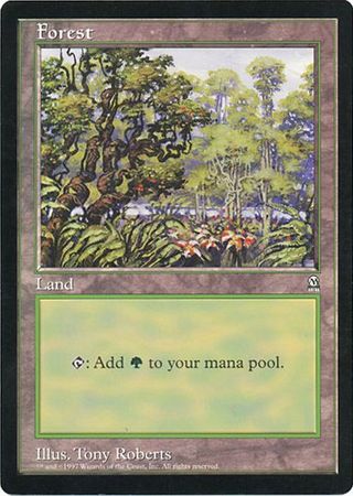 Forest (Oversized) [Oversize Cards] | Devastation Store