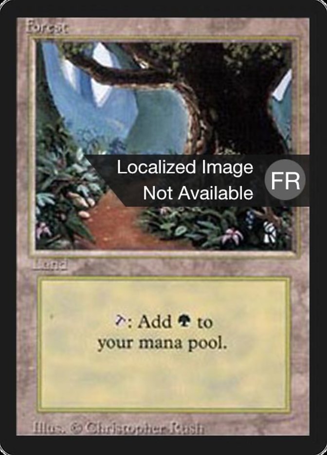 Forest (B) [Foreign Black Border] | Devastation Store